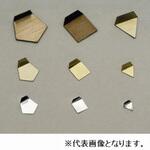 板状分銅 ステンレス OIML型 (F1級) 大正天びん製作所