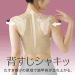 お医者さんの(R)体幹姿勢サポーター ピタ肌 アルファックス