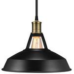 真鍮黒ペンダントライト器具(ランプ別売り) 光商事