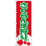 2230 のぼり さくらんぼ狩り P・O・Pプロダクツ