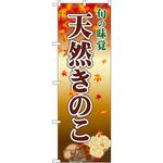 2764 のぼり 旬の味覚天然きのこ P・O・Pプロダクツ