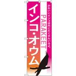 7521 のぼり インコ オウム かわいいインコ店内にたくさんいるよ。 P・O・Pプロダクツ