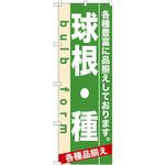 7932 のぼり 球根・種 各種豊富に品揃えしております。 P・O・Pプロダクツ