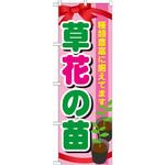 GNB-1079 のぼり 草花の苗 種類豊富に揃えてます P・O・Pプロダクツ