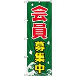GNB-2205 のぼり 会員募集中 P・O・Pプロダクツ