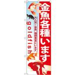 GNB-581 のぼり 金魚各種います 大人気!金魚。種類豊富にいます。 P・O・Pプロダクツ