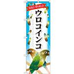 GNB-612 のぼり ウロコインコ P・O・Pプロダクツ