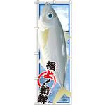 SNB-1556 のぼり アジ P・O・Pプロダクツ