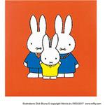 フエルアルバム コドモ ディックブルーナ S ナカバヤシ