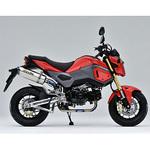 TT-Formula RS フルチタン アップタイプ OVER RACING