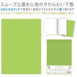 カラーソフト透明下敷 B5判 共栄プラスチック