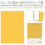 カラーソフト透明下敷 B5判 共栄プラスチック 下敷き 【通販