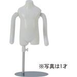子供リーズナブルトルソ 白半艶簡易塗装 フレキアーム付 サンクリエイト