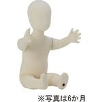 ベビーサンドール アイボリーレイヨン張り 頭付 ベース無し サンクリエイト