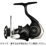 24 CERTATE CUSTOM BODY SLP WORKS(エスエルピーワークス)
