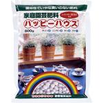 ハッピーハウス レインボー薬品