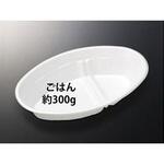 CFカレー 身 中央化学