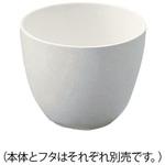 B5 磁製ルツボ アズワン