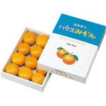 L-330 ハウスみかん ヤマニパッケージ