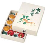 L-349 旬の美果(大) ヤマニパッケージ