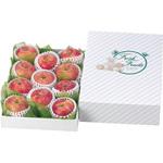 L-354M 金線(大)身浅口 ヤマニパッケージ