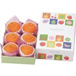 L-493 ナチュラルフルーツ(ミニ) ヤマニパッケージ