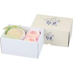 L-2262 ロイヤル旬果 ミニアラカルト ヤマニパッケージ