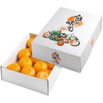 L-2267 四季の果実 小 ヤマニパッケージ