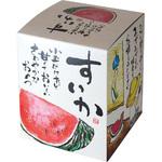 L-2353 小玉スイカ ヤマニパッケージ