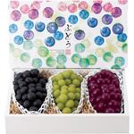 山ぶどう製小箱 楽天市場】【屋号必須】ヤマニパッケージ ぶどう箱 L-2395