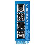 AM-NSK0600-1800 のぼり_夏期講習 ジャストコーポレーション