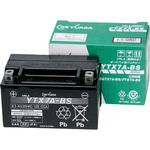 12V高性能VRLA(制御弁式)バッテリー(電解液注入済タイプ) GSユアサ