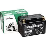 12V高性能VRLA(制御弁式)バッテリー(電解液注入済タイプ) GSユアサ