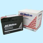 2輪用液別バッテリー(電解液注入済タイプ) ACDelco