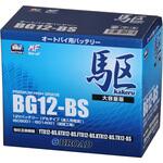 高性能ゲルタイプバッテリー 駆 BROAD
