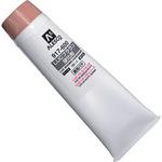 ブラウン硬化剤 関西ペイント