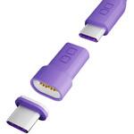 USB-C マグネット変換アダプタ ストレート パープル CIO