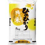 【袋のみ】エコポ 陽だまり米・ひのひかり アサヒパック