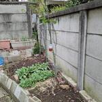 ネズミよけ 置くだけ・吊るだけジェル 屋外用 50g ニッショウ機器