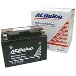 2輪用液別バッテリー(電解液注入済タイプ) ACDelco