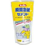 瞬間急硬セメント 1分硬化 トーヨーマテラン