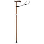 かるケイン 田辺プレス