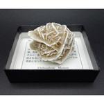 ZEO-1000-30 砂漠のバラ(小箱) ナリカ