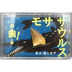 ZEO-1000-42 モササウルスの歯(スチロールケース) ナリカ
