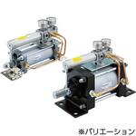 CP Series(CPA2T50) SMC