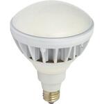 L20W-JW110-50K LED交換球 ハイスペックエコビック 20W 日動工業