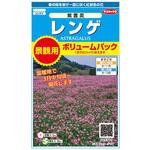 景観用大袋 レンゲ 紫雲英 実咲