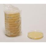 1.46236.0020 Sabouraud Dextrose Agar acc. EP+USP-LI 20mL 20 146236 20PACK Merck(メルクミリポア)
