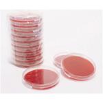 1.46559.0020 Columbia Blood Agar pharm. 20 146559 20PACK Merck(メルクミリポア)