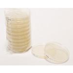 1.46075.0020 R2A Agar 30mL 20 146075 20PACK Merck(メルクミリポア)